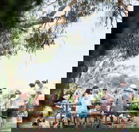 Music on the Murray - Tourism Cairns