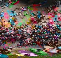 Paddling Film Festival - Coffs Harbour Sawtell - Tourism Cairns