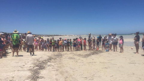Perlubie Beach Sports Day - Tourism Cairns 1