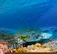 Recovery of the Great Barrier Reef - Tourism Cairns
