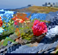 Roses by the Seaside National Rose Championships and Conference - Tourism Cairns