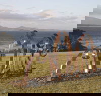 Sculpture Bermagui - Tourism Cairns