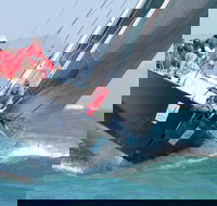 SeaLink Magnetic Island Race Week - Tourism Cairns