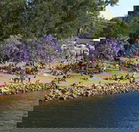 Shoalhaven River Festival - Tourism Cairns