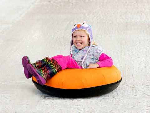 Snow Time In The Garden - Hunter Valley Gardens - Cancelled - Tourism Cairns 1