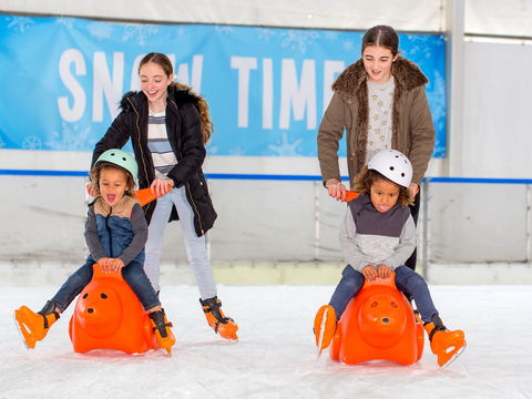 Snow Time In The Garden - Hunter Valley Gardens - Cancelled - Tourism Cairns 2