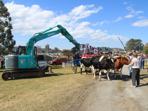 SteamFest 2021 - Tourism Cairns 0