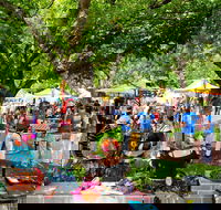 Stirling Laneways - Tourism Cairns