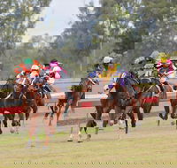 Thangool Races - Tourism Cairns