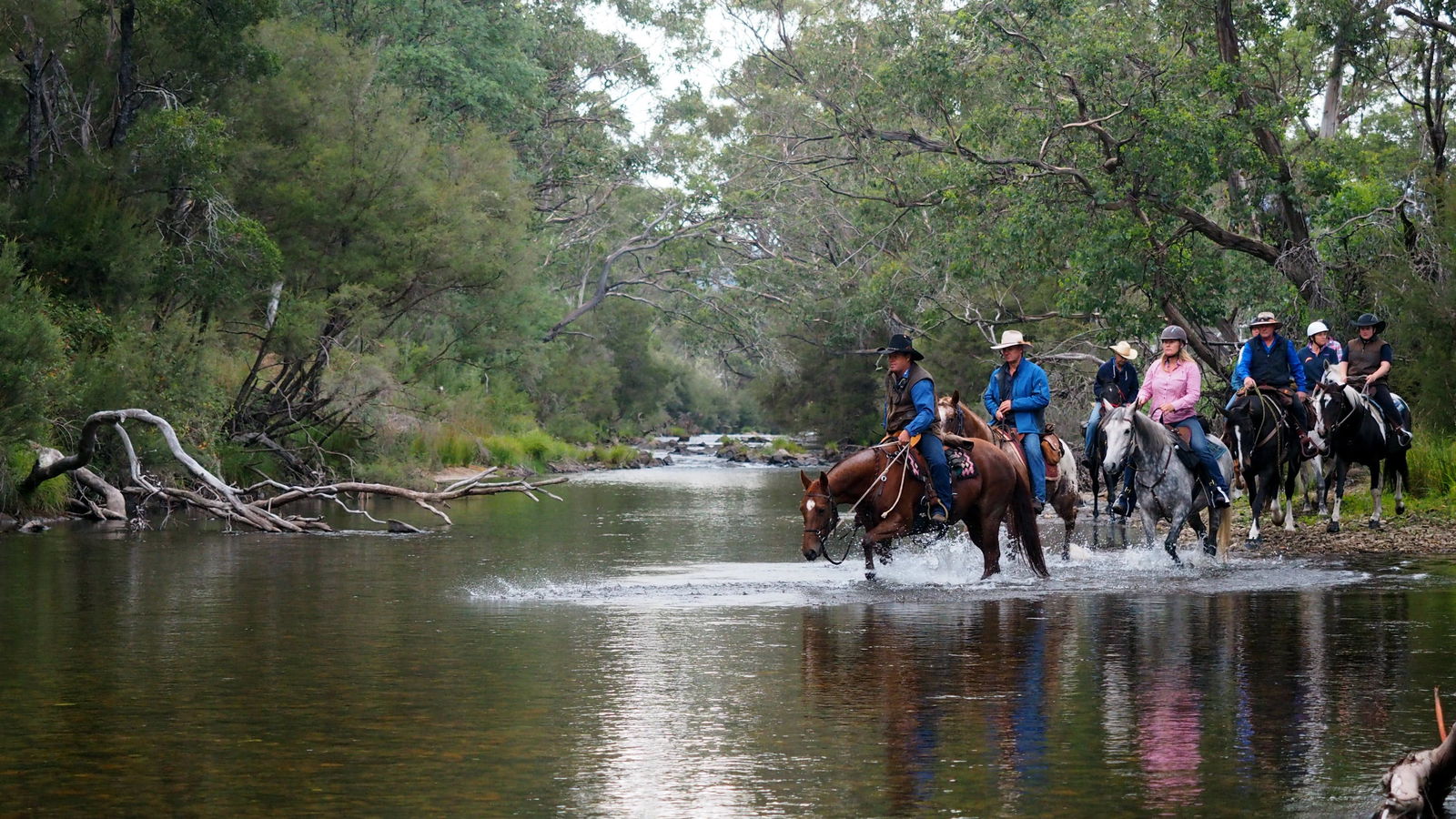 Towong Upper VIC Tourism Cairns