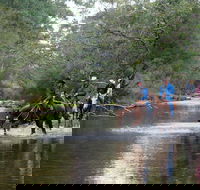 The Man From Snowy River Bush Festival - Tourism Cairns