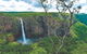 The Garden Clubs Of Australia Inc AGM And Biennial Convention 2021 - thumb 1