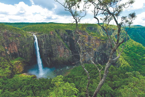 The Garden Clubs Of Australia Inc AGM And Biennial Convention 2021 - Tourism Cairns 1