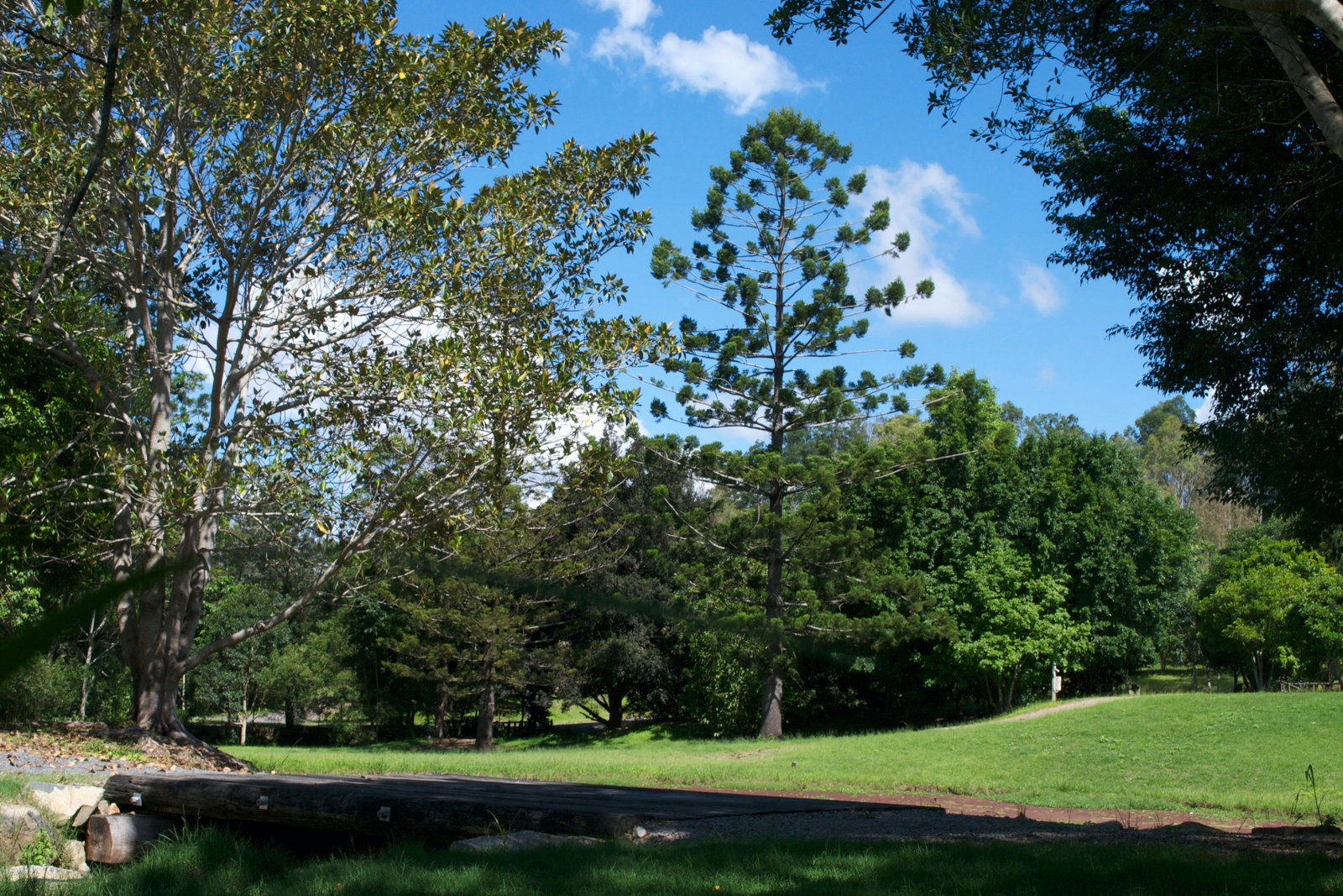 Mount Delaney QLD Tourism Cairns