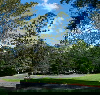 The Planting Festival 2021 - Tourism Cairns