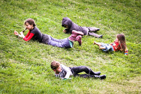 The Planting Festival 2021 - Tourism Cairns 2