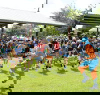 Towers Rush - Tourism Cairns