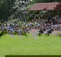 Tumut Boxing Day Races - Tourism Cairns
