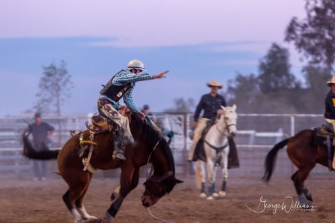 Walgett Charity Bushman's Carnival Rodeo And Campdraft - Tourism Cairns 1