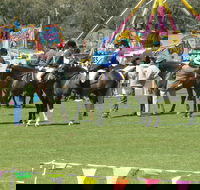 Wangaratta Show - Tourism Cairns