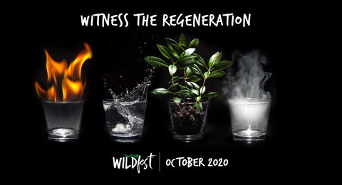 Wildfest - Annual Festival - Tourism Cairns 0