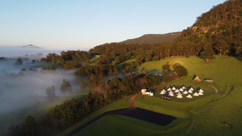 Wildfest - Annual Festival - Tourism Cairns 1