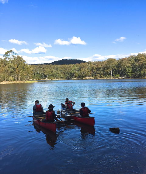 Wildfest - Annual Festival - Tourism Cairns 2