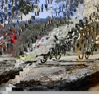 Wollombi Wild Ride Mountain Bike Ride - Tourism Cairns