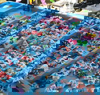 Wyee Markets - Tourism Cairns