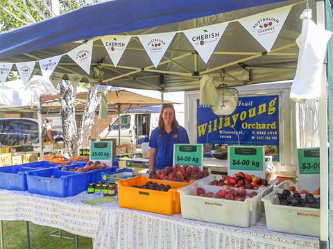 Young And Region Farmers Markets - Tourism Cairns 1