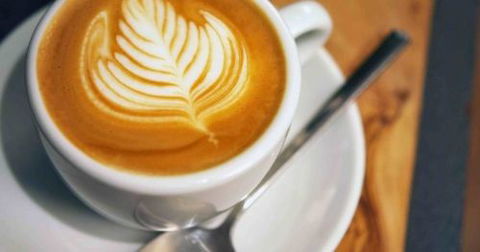 A Wild Night Out - Spring - Tourism Cairns 3