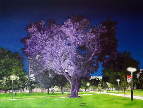 Adelaide Parklands Art Prize  Finalists Exhibition & Sale 2020 - Tourism Cairns 0