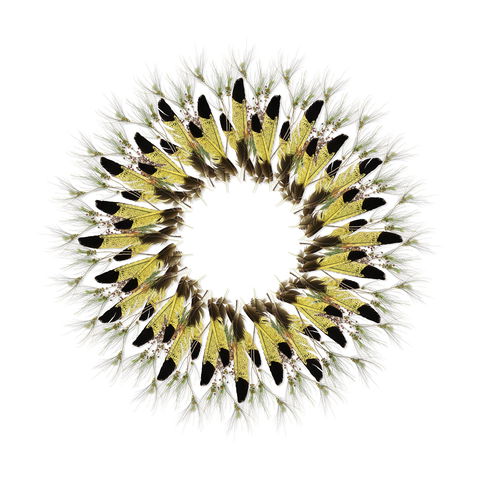 Adelaide Parklands Art Prize  Finalists Exhibition & Sale 2020 - Tourism Cairns 1