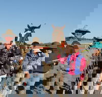 Annual Prairie Races - Tourism Cairns