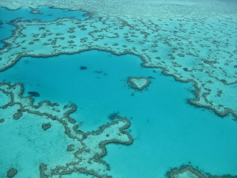 Australian Superyacht Rendezvous 2020 - Great Barrier Reef Edition - Tourism Cairns 2
