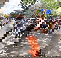 Australian National Busking Championships - Tourism Cairns