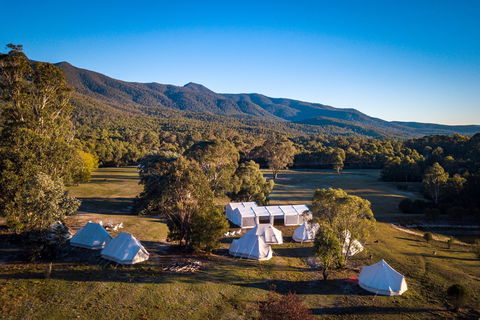 A Wild Night Out - Spring - Tourism Cairns 5