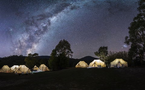 A Wild Night Out - Spring - Tourism Cairns 6