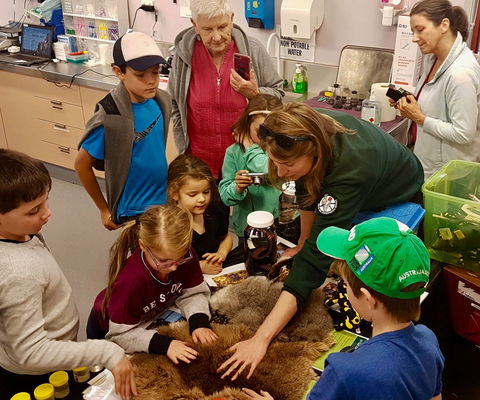 A Wild Night Out - Spring - Tourism Cairns 7