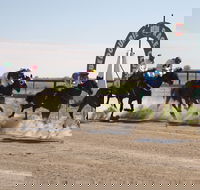 Bedourie Races and Rodeo - Tourism Cairns