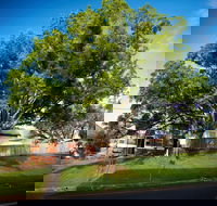 Big Bat Wildlife and Eco Festival - Tourism Cairns