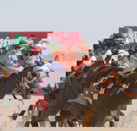 Birdsville Races - Tourism Cairns