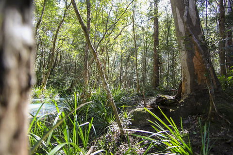 Bottlebutt Bash Trail Run - Tourism Cairns 0