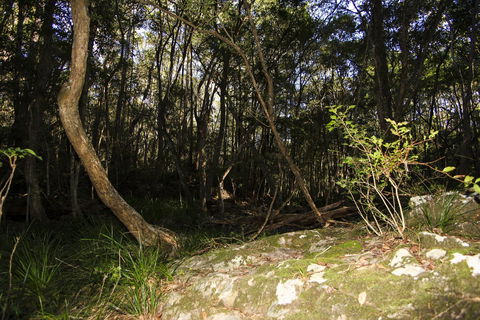 Bottlebutt Bash Trail Run - Tourism Cairns 1