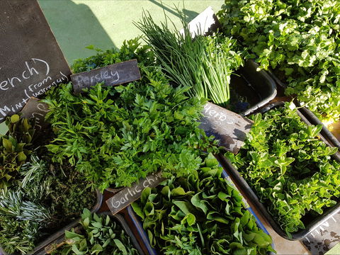 Carlton Farmers' Market - Tourism Cairns 2