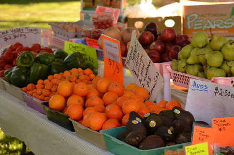 Centenary Park Charity Markets - Tourism Cairns 0