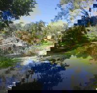 Conservation Volunteers Australia Townsville - Creekwatch - Tourism Cairns