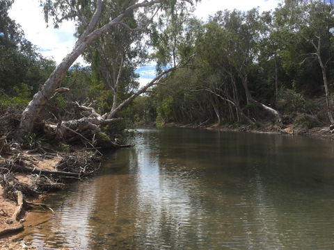 Conservation Volunteers Australia Townsville - Creekwatch - Tourism Cairns 2