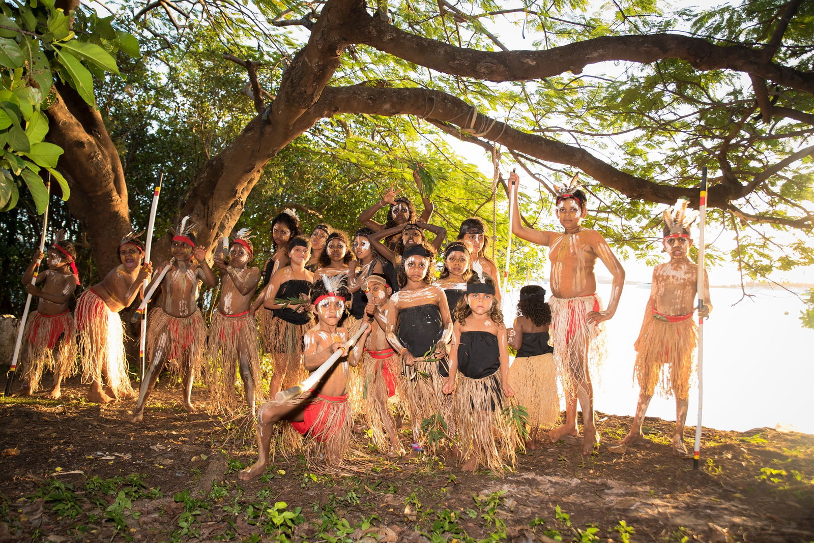 Bloomfield QLD Tourism Cairns