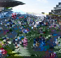 Craft Beer Sunshine Coast Festival - Tourism Cairns